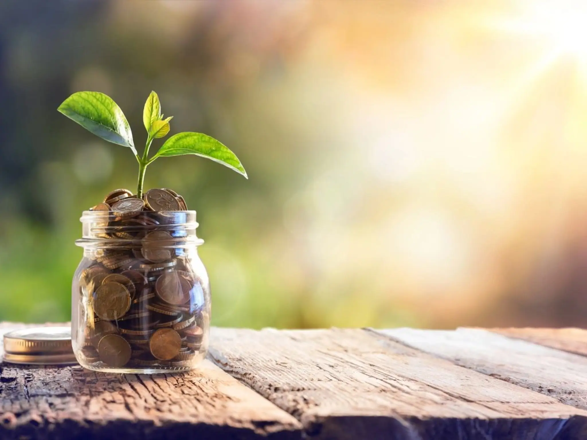 A small plant growing from coins in a jar, symbolizing financial growth.